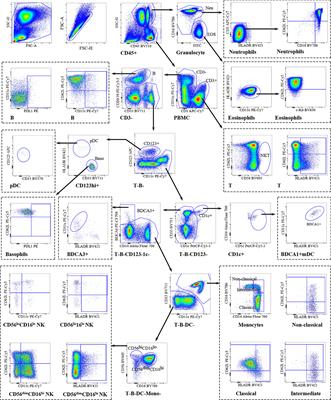 The peripheral and decidual immune cell profiles in women with recurrent pregnancy loss